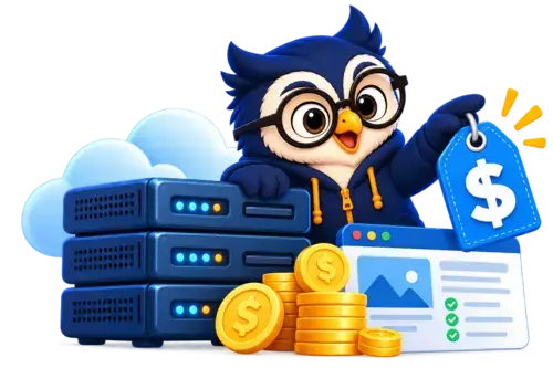 affordable hosting for website