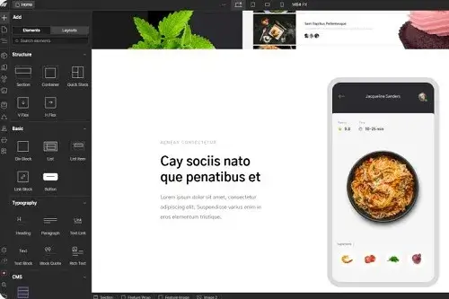 webflow Customization