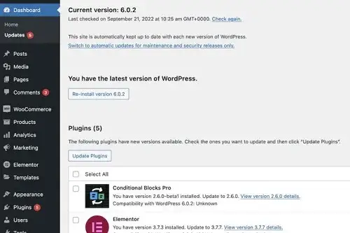 wordpress Security and Maintenance Compared
